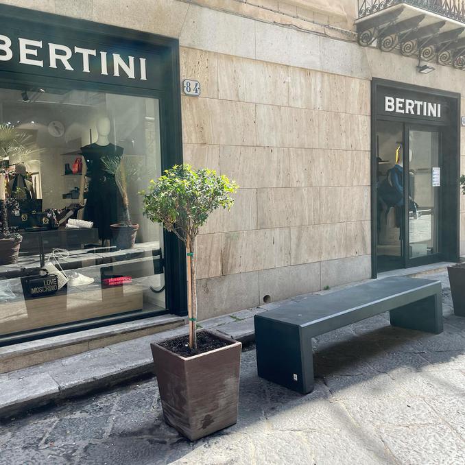 Bertini Donna