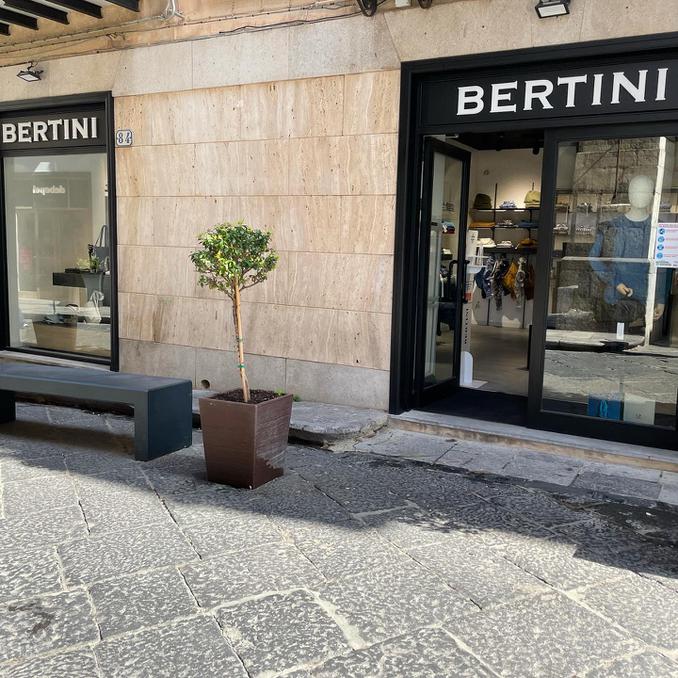 Bertini